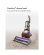 Dyson BALLANIMALORIG Upright Vacuum Cleaner