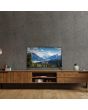 Metz 24MTD6100Y/UK 23.6inch Direct Led Roku Smart TV